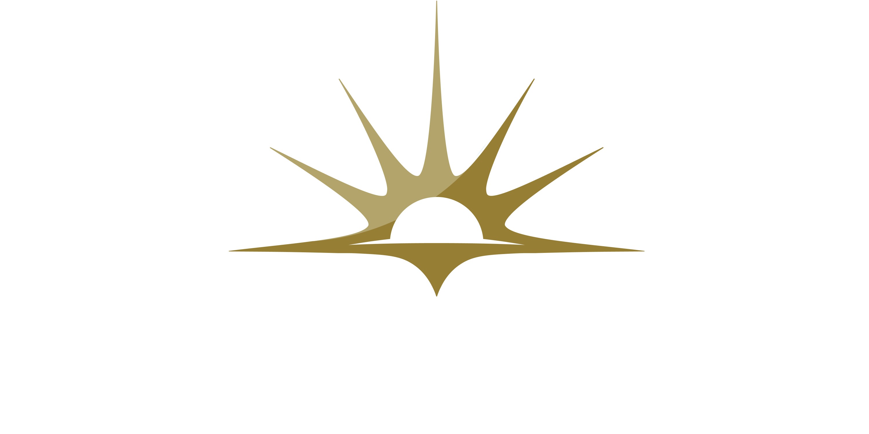 P&O Cruises