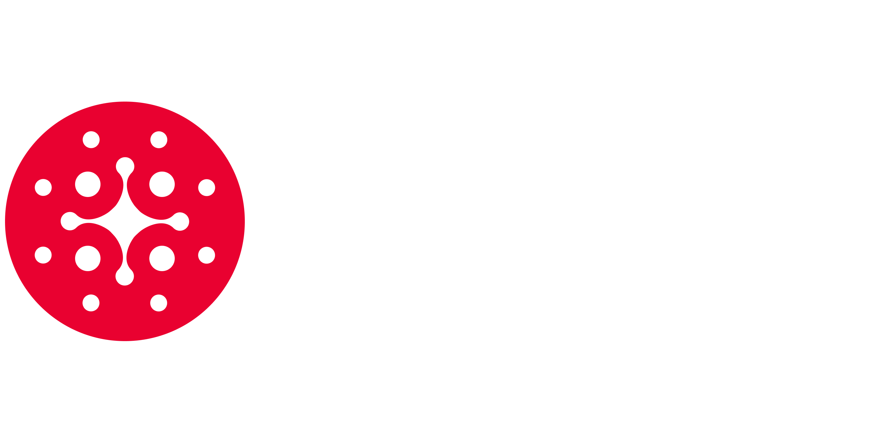 Slingshot